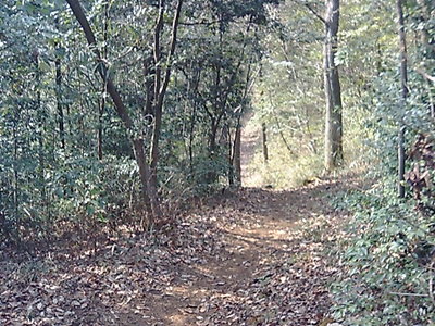 里山の尾根道へと続く道